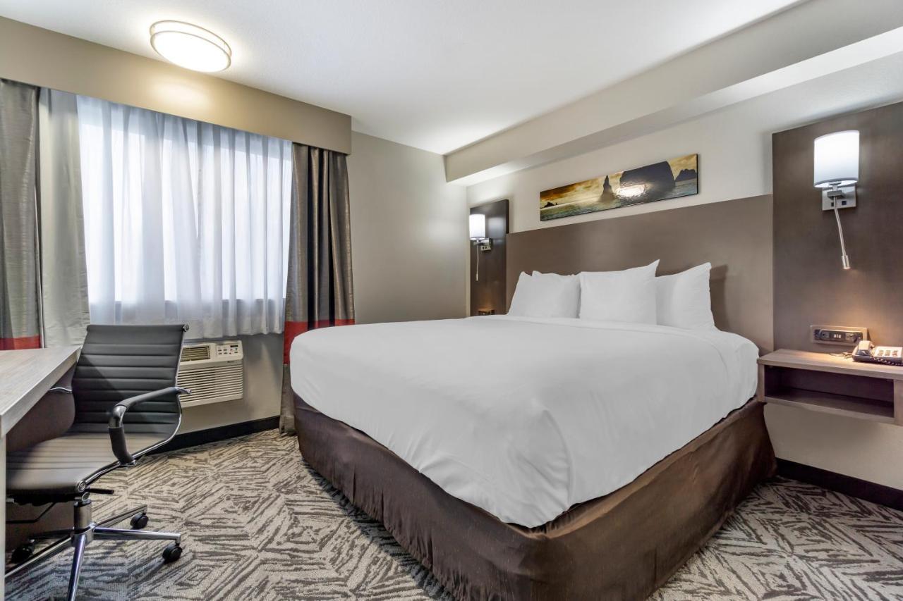 Comfort Inn & Suites Pacific - Auburn Ngoại thất bức ảnh